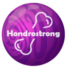Hondrostrong - remède pour traiter les articulations